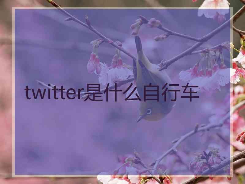 twitter是什么自行车