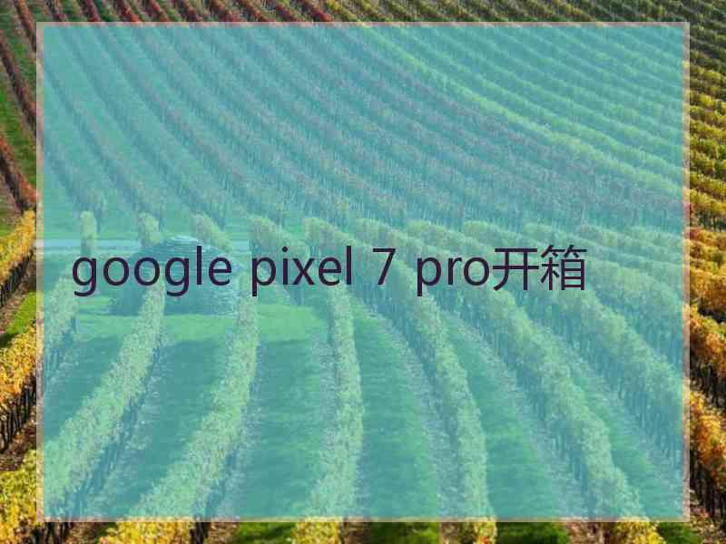 google pixel 7 pro开箱