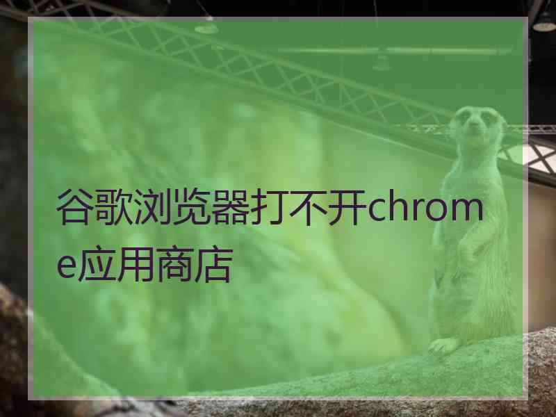 谷歌浏览器打不开chrome应用商店