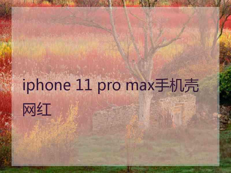 iphone 11 pro max手机壳网红