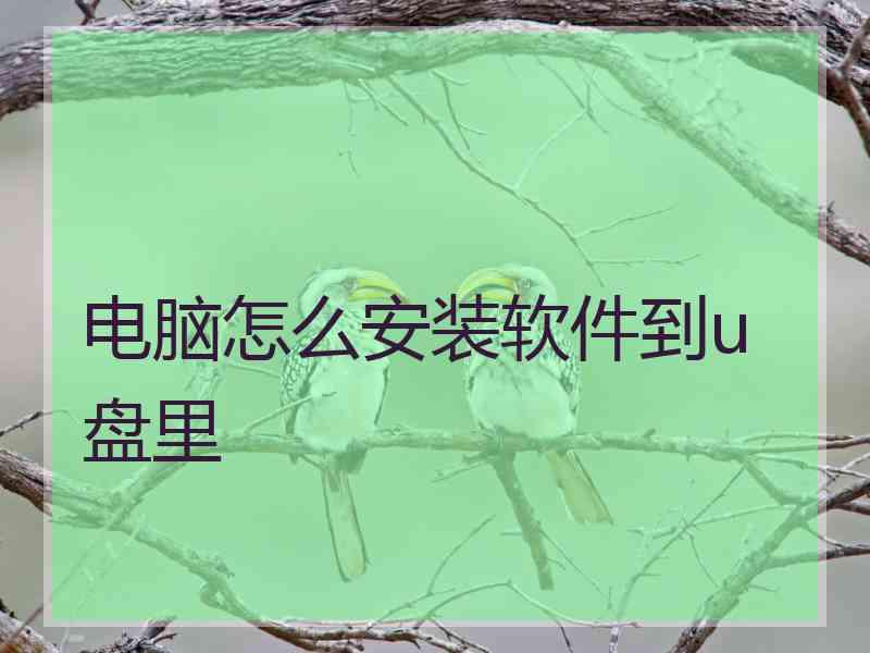 电脑怎么安装软件到u盘里