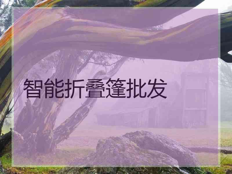 智能折叠篷批发