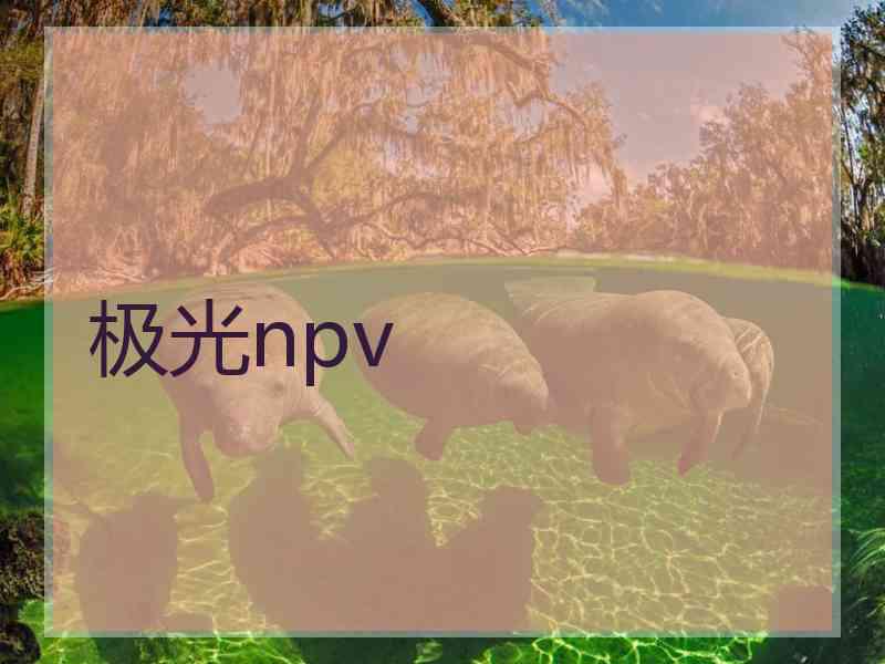 极光npv