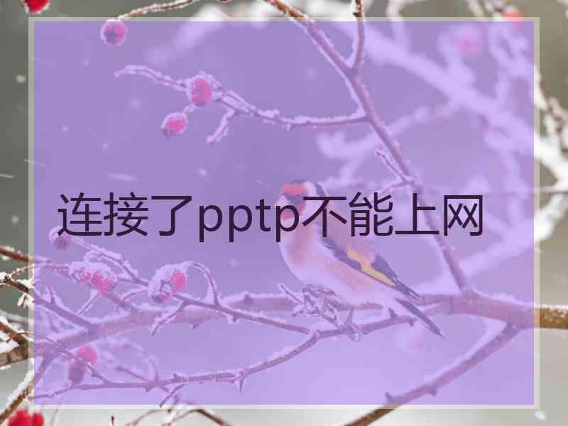 连接了pptp不能上网