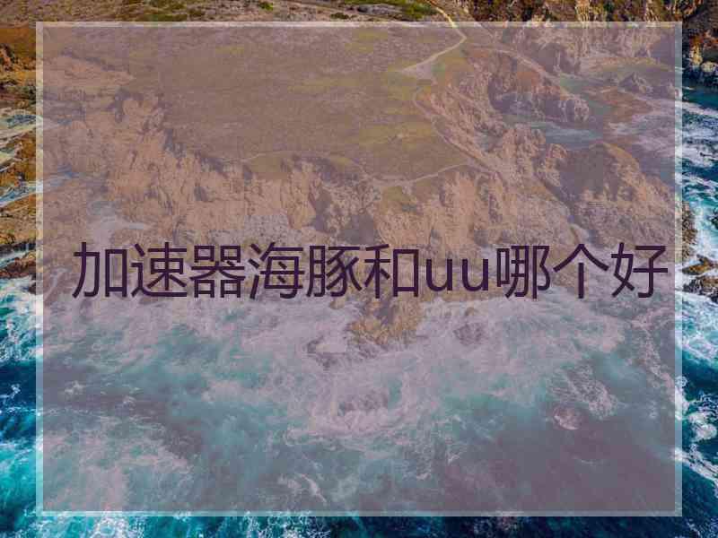 加速器海豚和uu哪个好