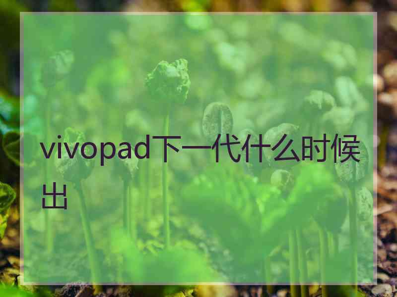 vivopad下一代什么时候出