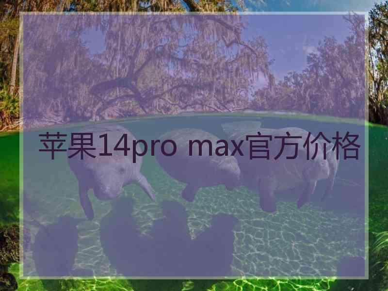 苹果14pro max官方价格