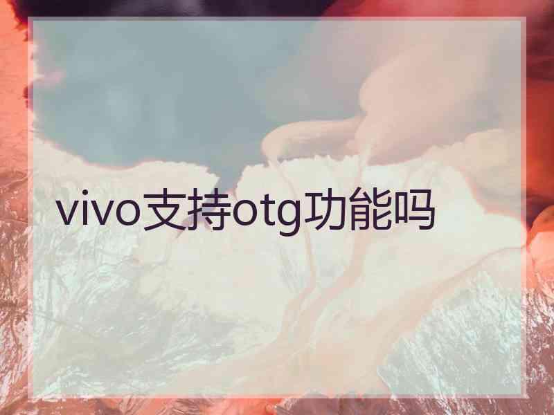 vivo支持otg功能吗