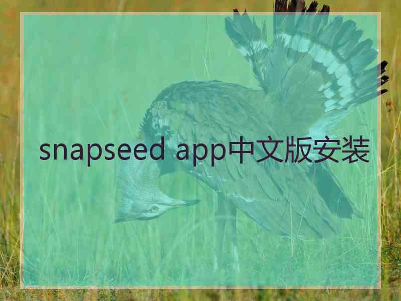 snapseed app中文版安装