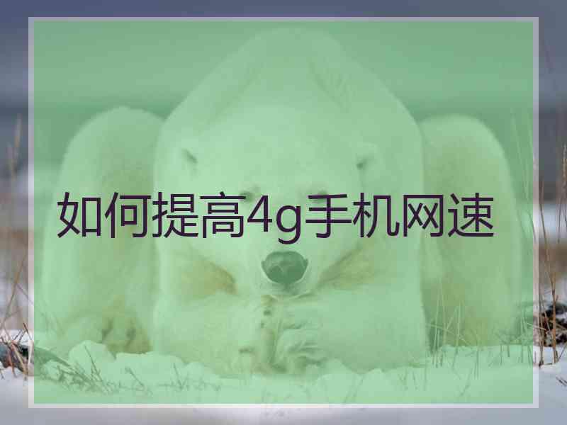 如何提高4g手机网速