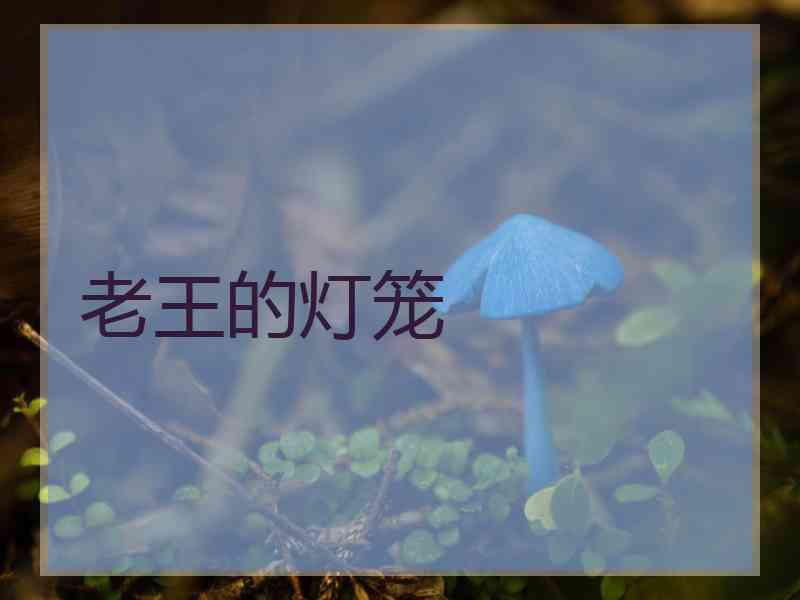 老王的灯笼