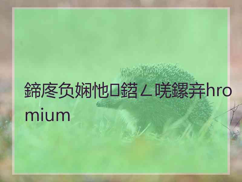 鍗庝负娴忚鍣ㄥ唴鏍竎hromium