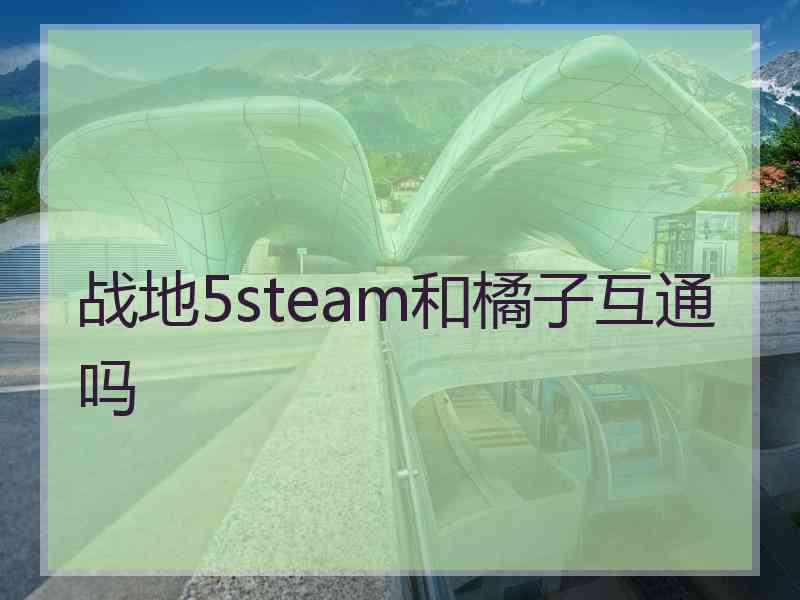 战地5steam和橘子互通吗