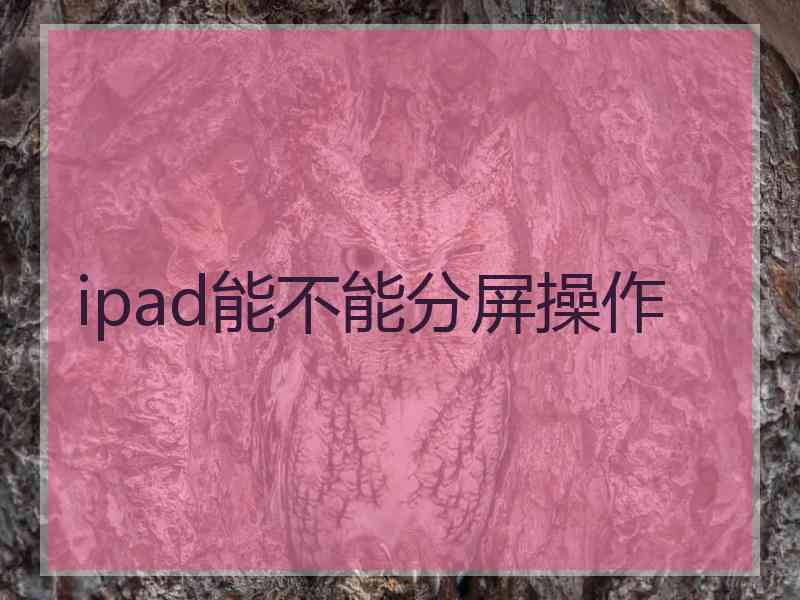 ipad能不能分屏操作