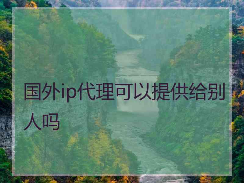 国外ip代理可以提供给别人吗