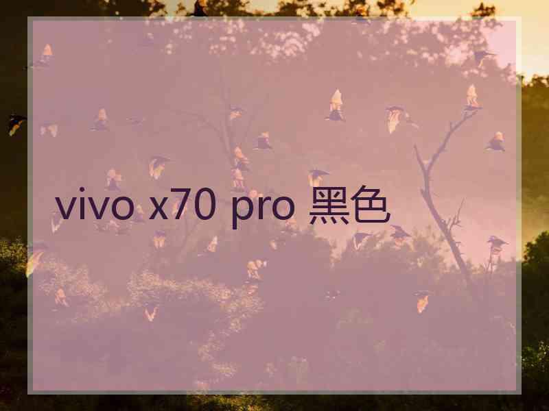 vivo x70 pro 黑色