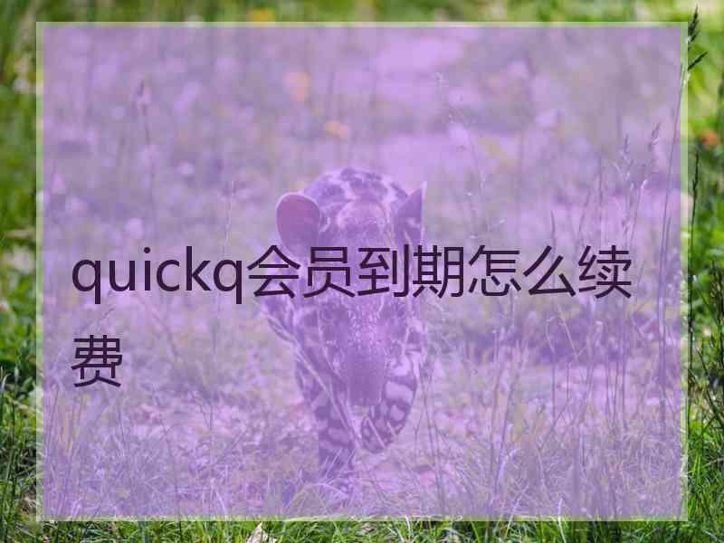 quickq会员到期怎么续费