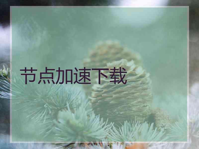 节点加速下载