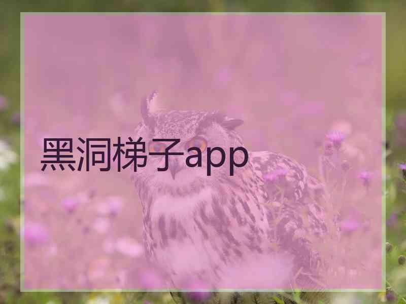 黑洞梯子app