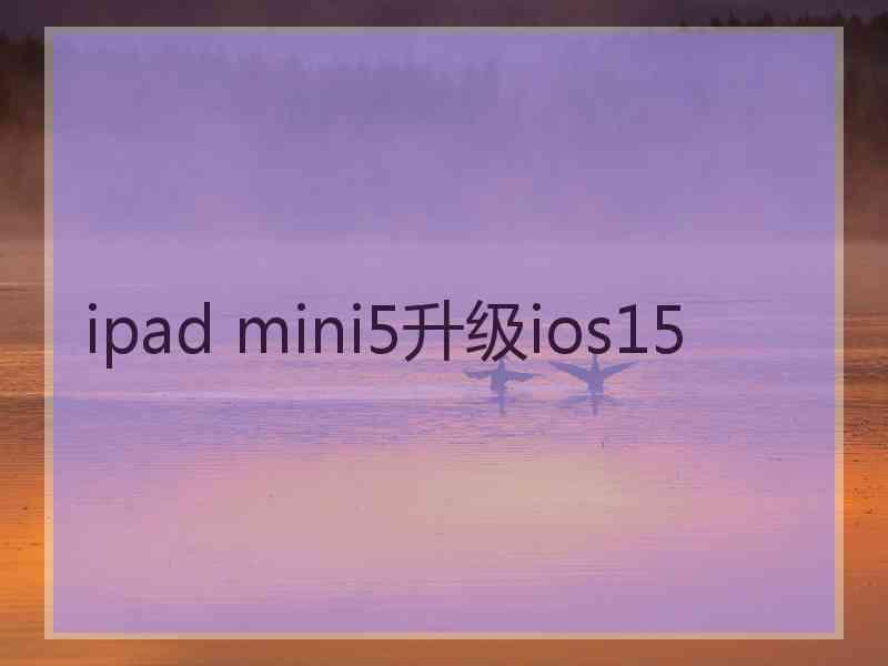 ipad mini5升级ios15