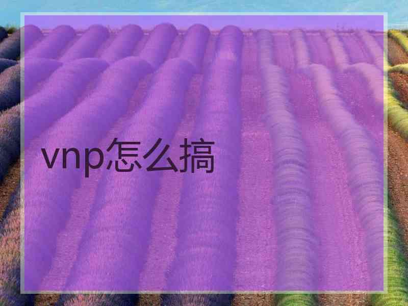 vnp怎么搞