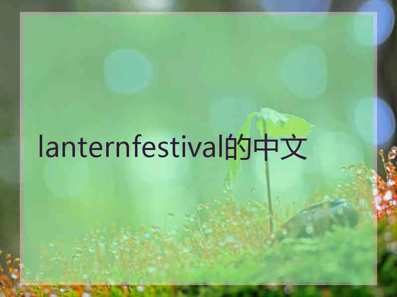 lanternfestival的中文