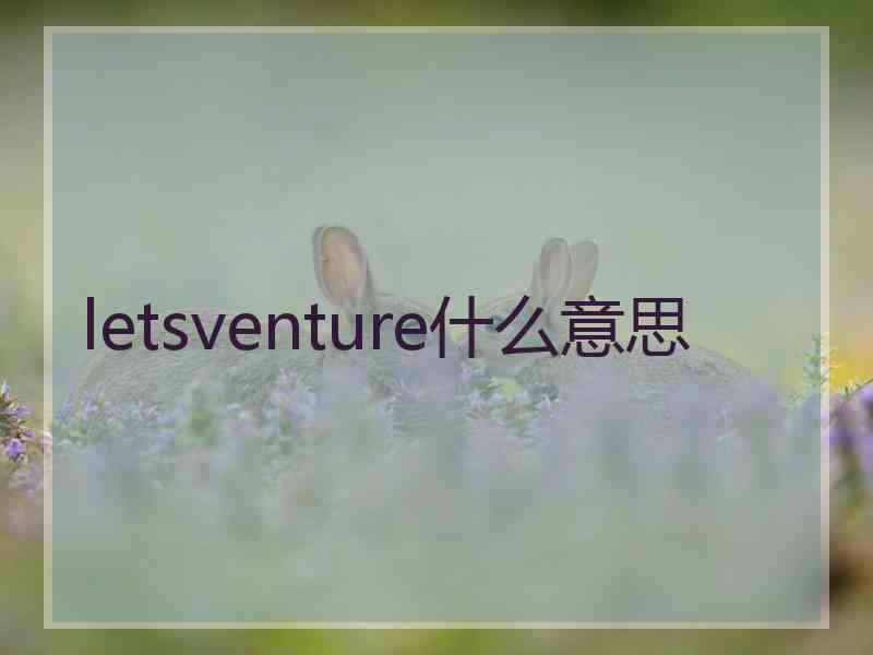 letsventure什么意思