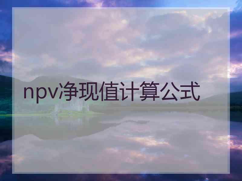 npv净现值计算公式