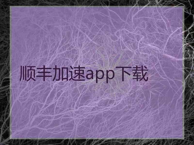 顺丰加速app下载