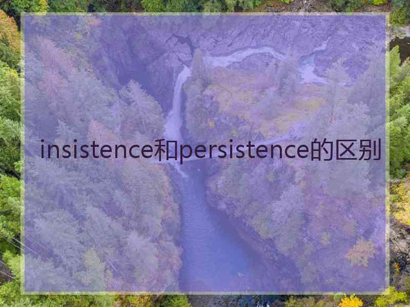 insistence和persistence的区别