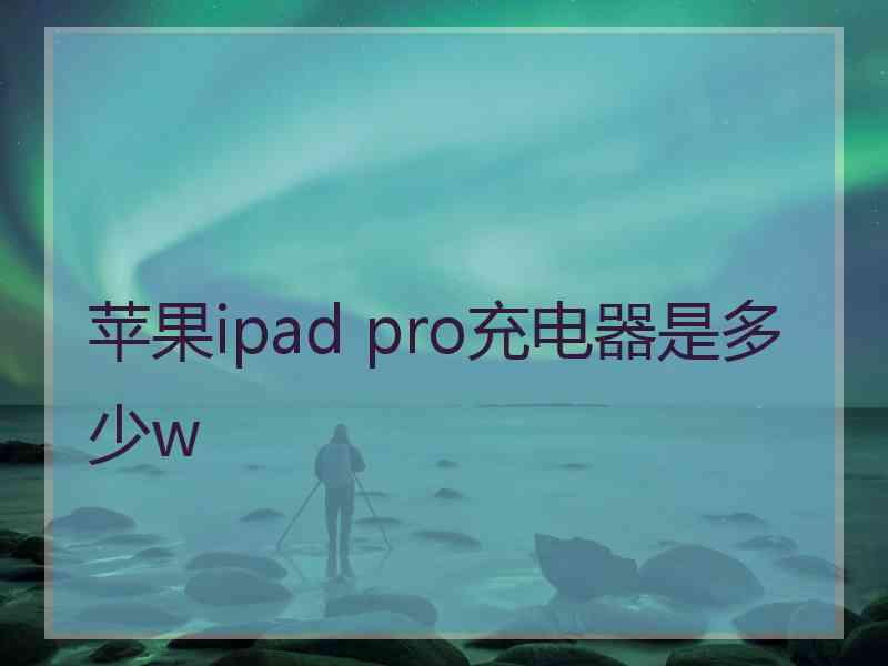 苹果ipad pro充电器是多少w