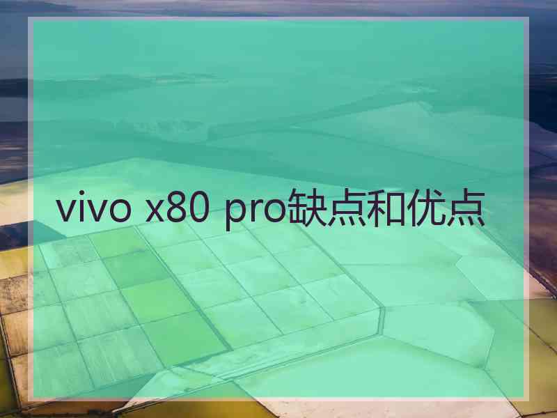 vivo x80 pro缺点和优点