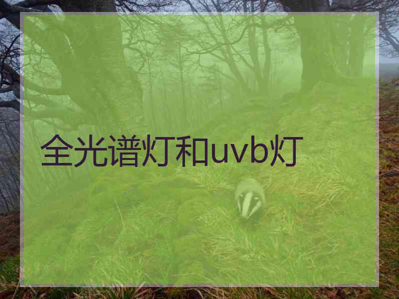 全光谱灯和uvb灯