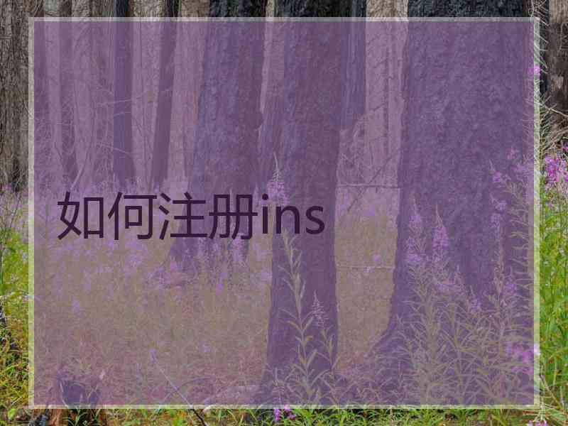 如何注册ins