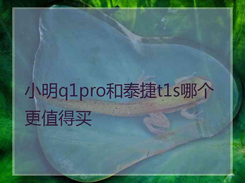 小明q1pro和泰捷t1s哪个更值得买