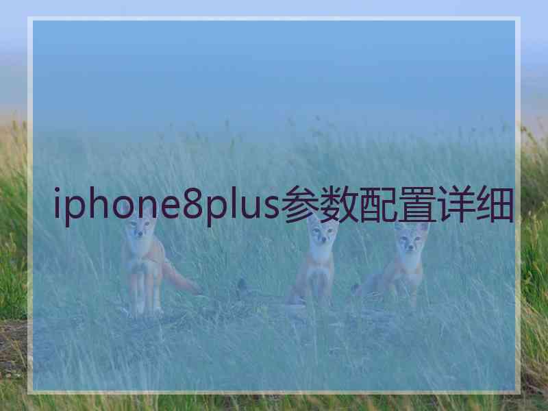 iphone8plus参数配置详细