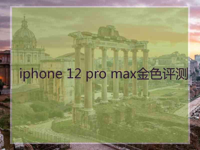 iphone 12 pro max金色评测