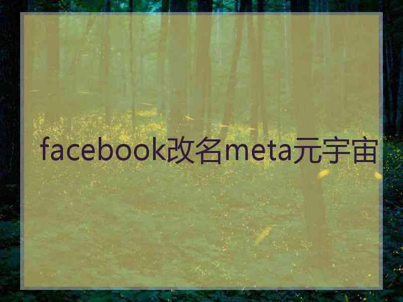 facebook改名meta元宇宙