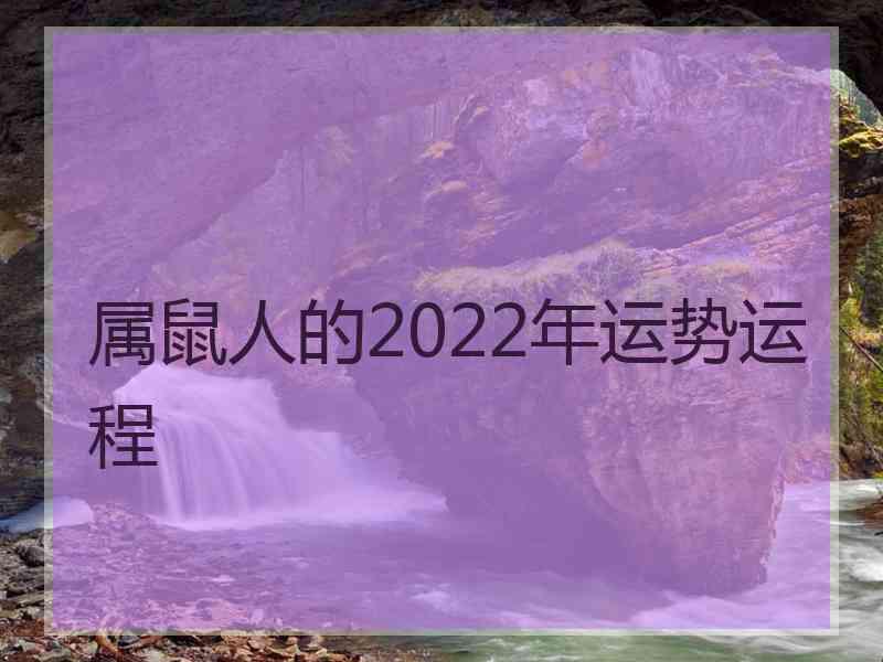 属鼠人的2022年运势运程