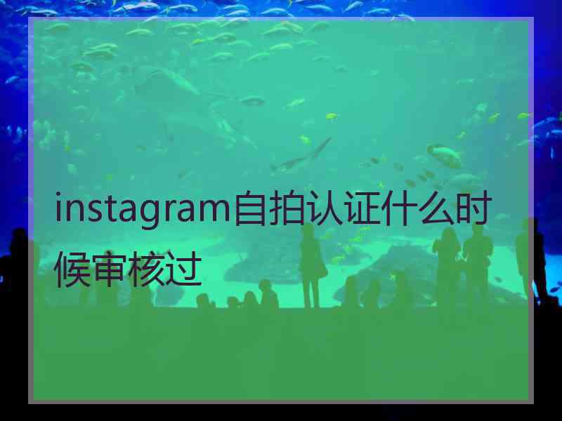 instagram自拍认证什么时候审核过