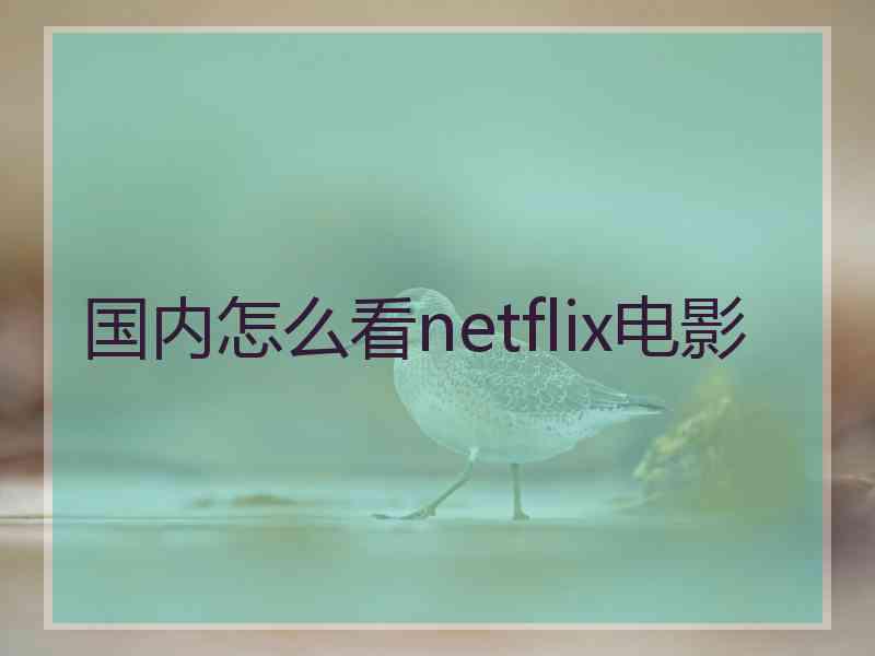 国内怎么看netflix电影