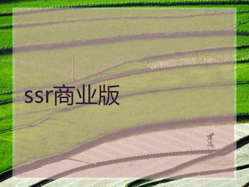 ssr商业版