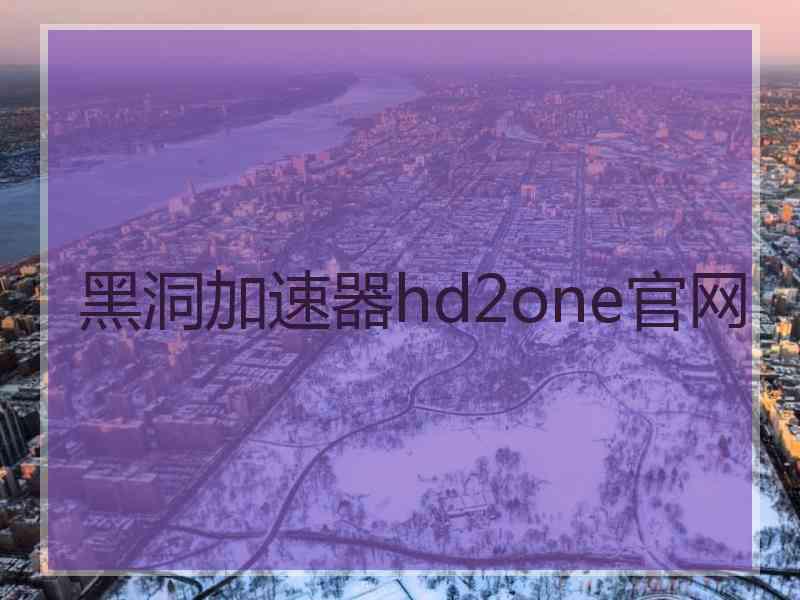 黑洞加速器hd2one官网