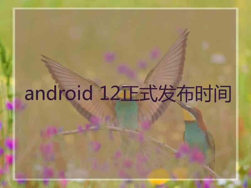 android 12正式发布时间