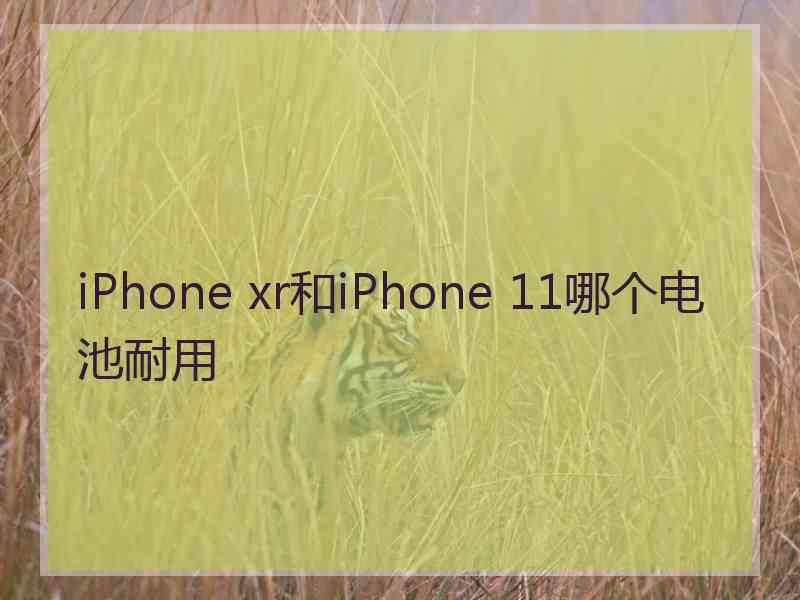 iPhone xr和iPhone 11哪个电池耐用