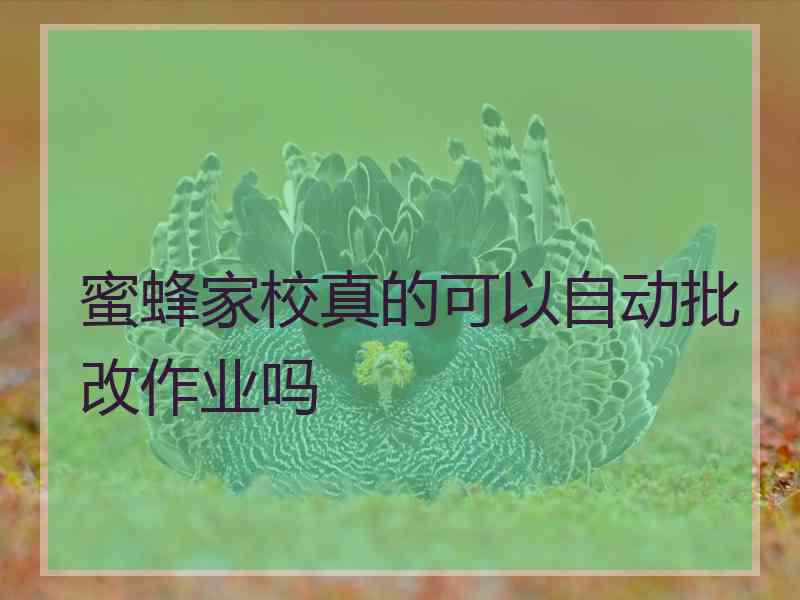 蜜蜂家校真的可以自动批改作业吗