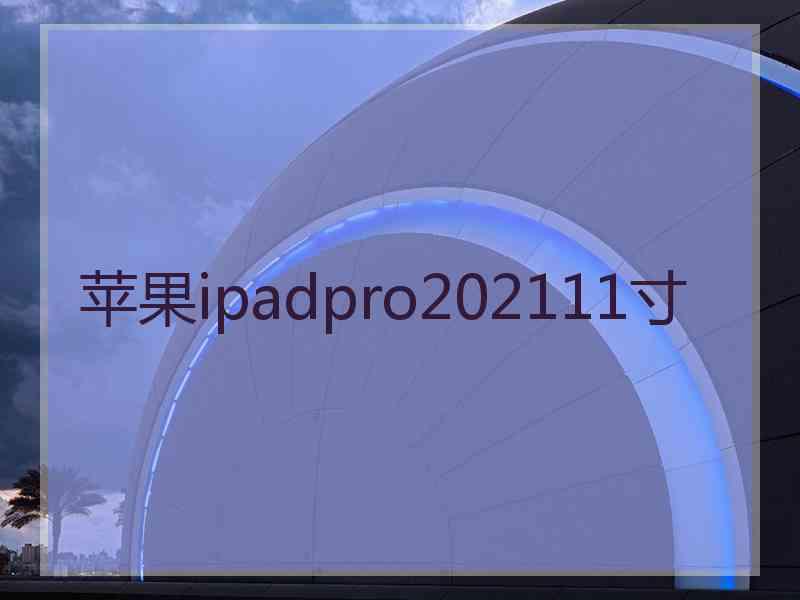 苹果ipadpro202111寸