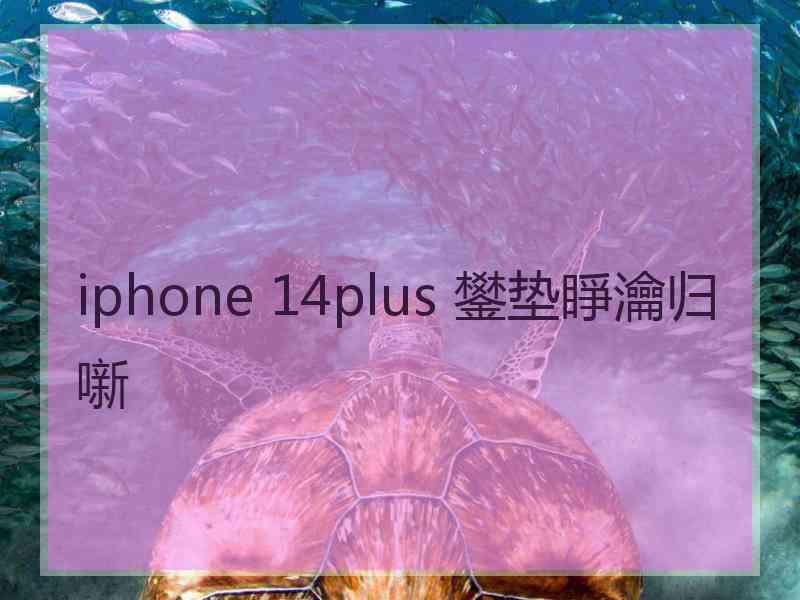 iphone 14plus 鐢垫睜瀹归噺