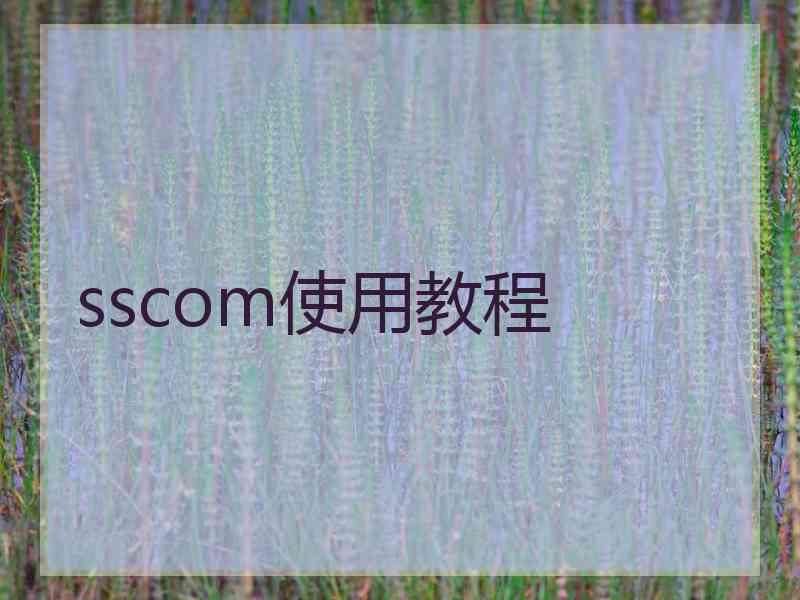 sscom使用教程