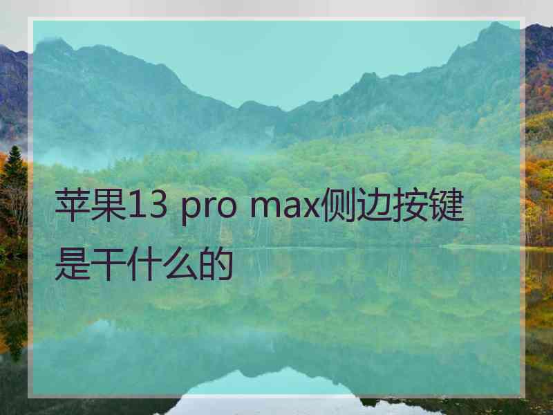 苹果13 pro max侧边按键是干什么的